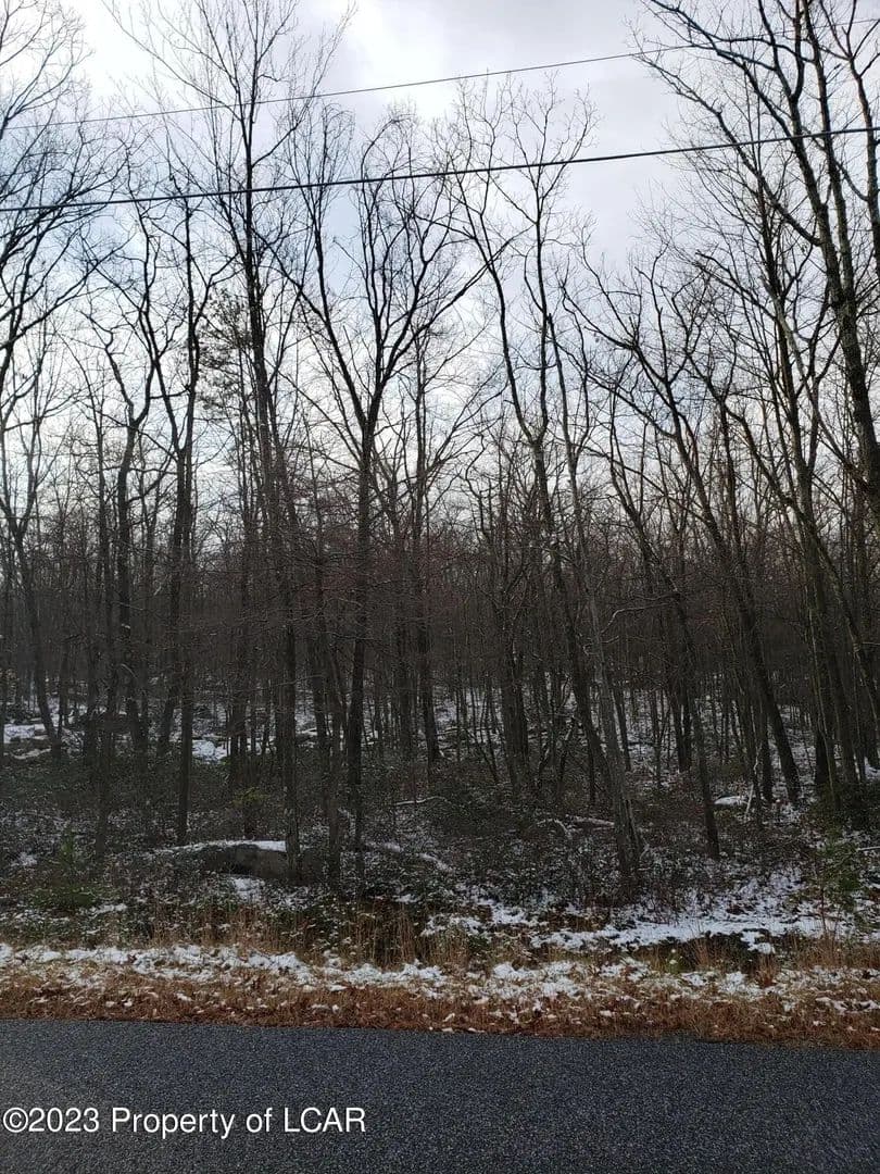 Lots & Land-Other in Hazleton