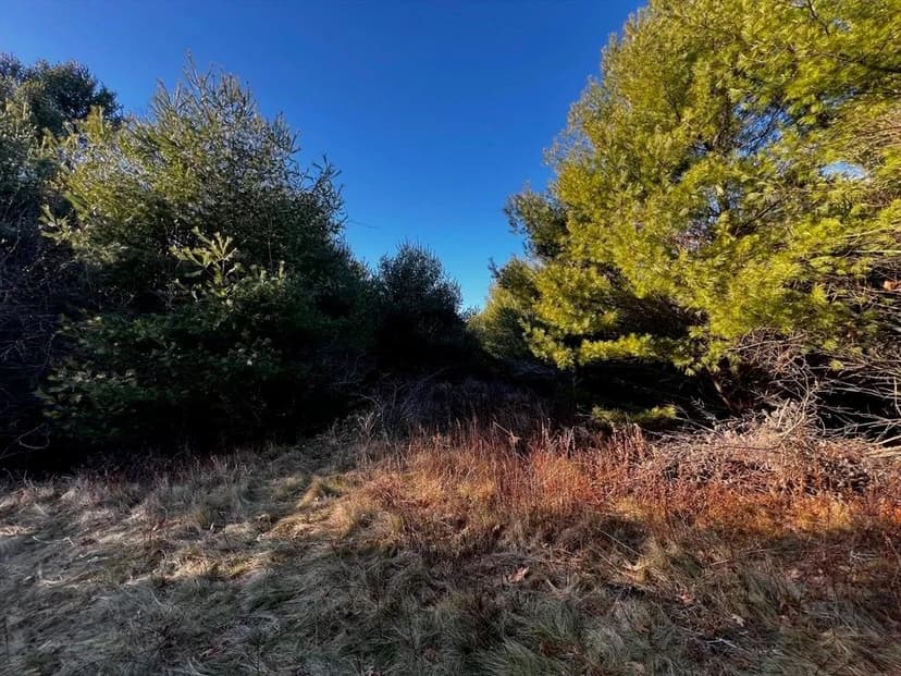 Lots & Land-Other in Middleboro