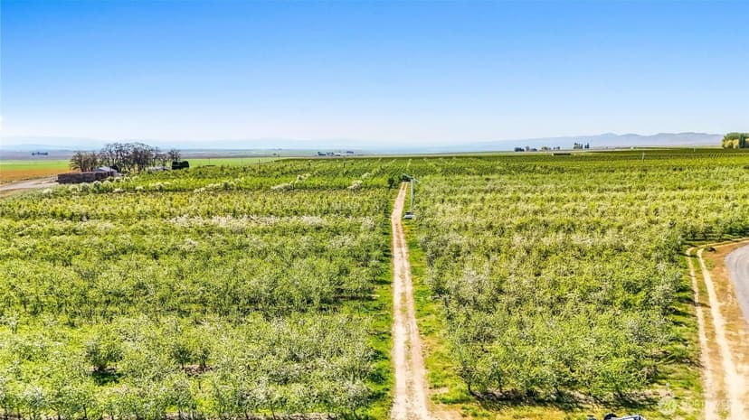 Lots & Land-Other in Othello