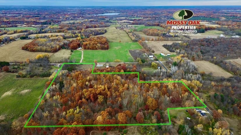 22.53 acres / Oceana County / Hesperia, MI / Land For Sale