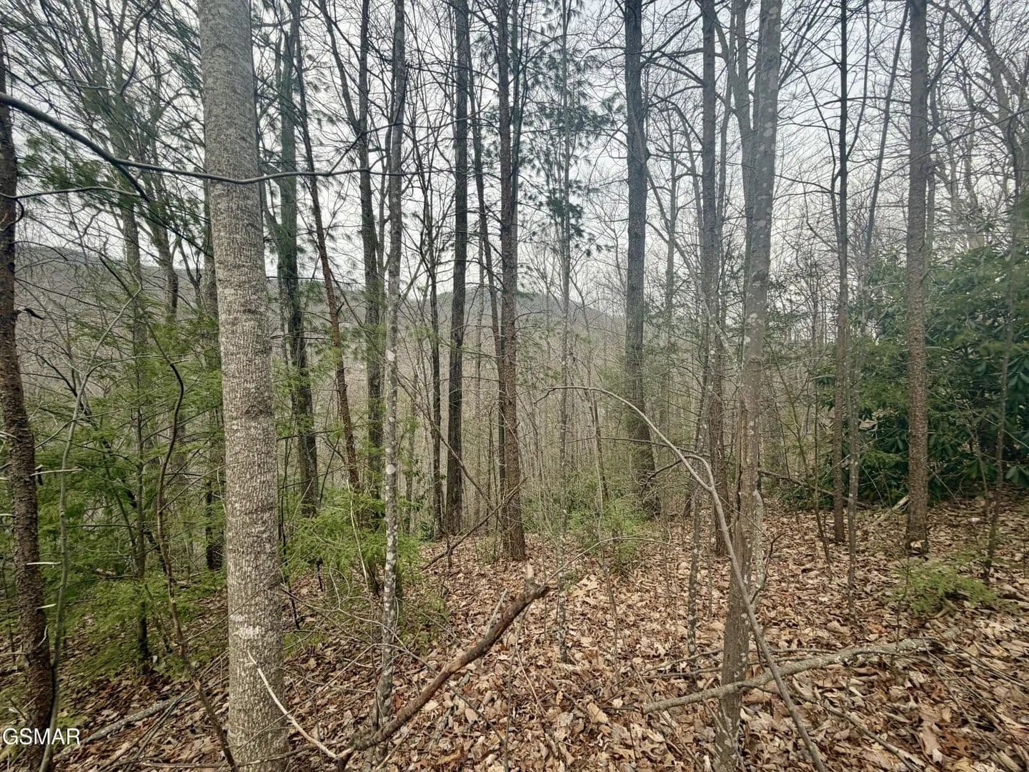 Vacant Land in Gatlinburg - Gatlinburg, Tennessee, 37738