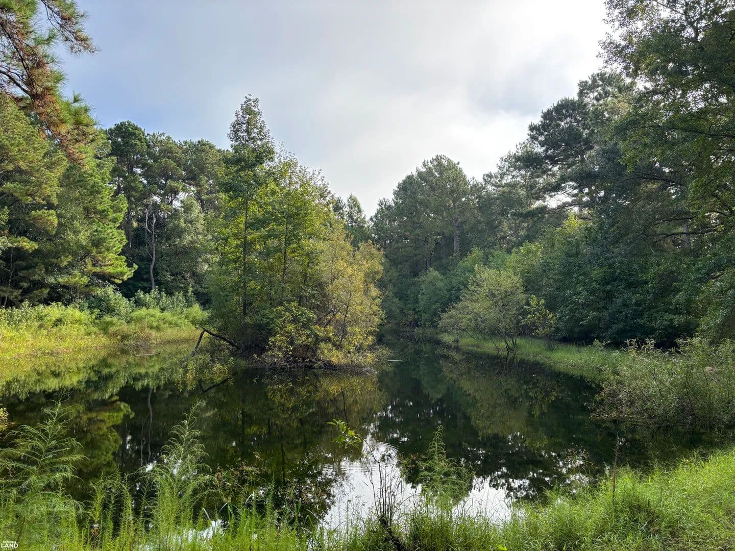 Providence Cir Homesite - Awendaw - Awendaw, South Carolina, 29429