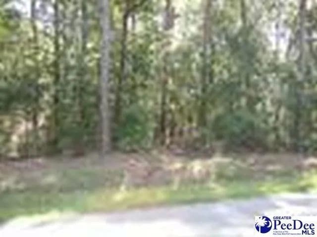 Lots & Land-Other in Quinby