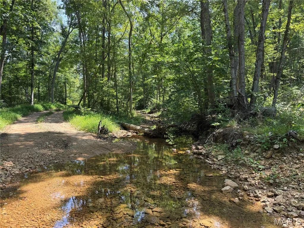 Lots & Land-Other in Fredericktown - Fredericktown, Missouri, 63645