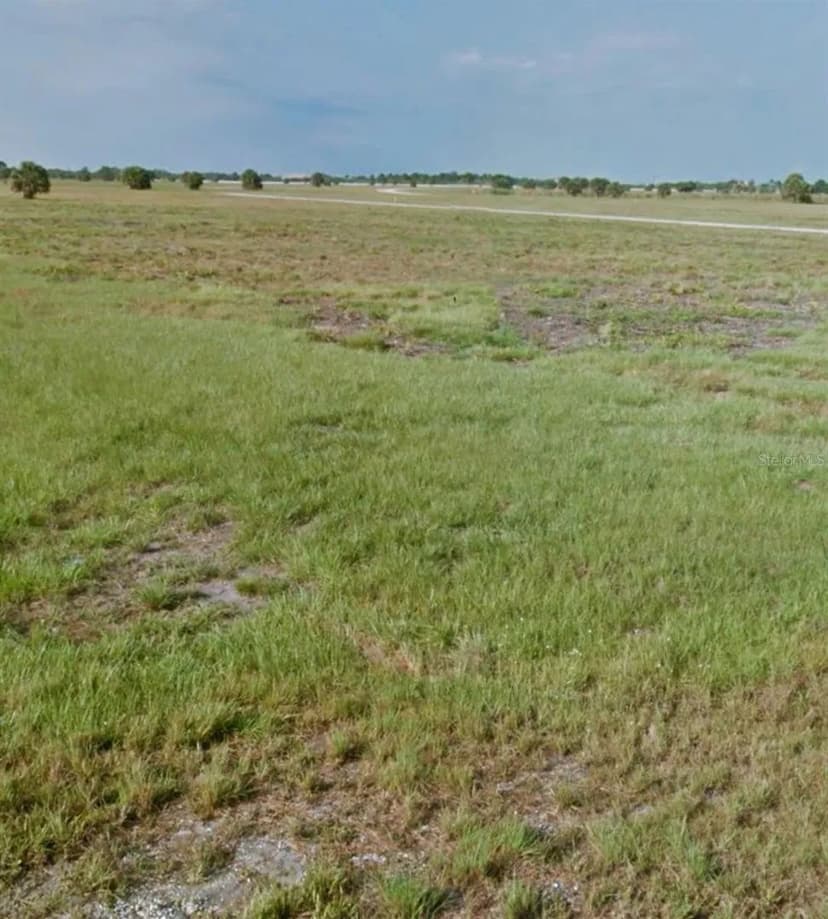 Lots & Land-Other in PLACIDA