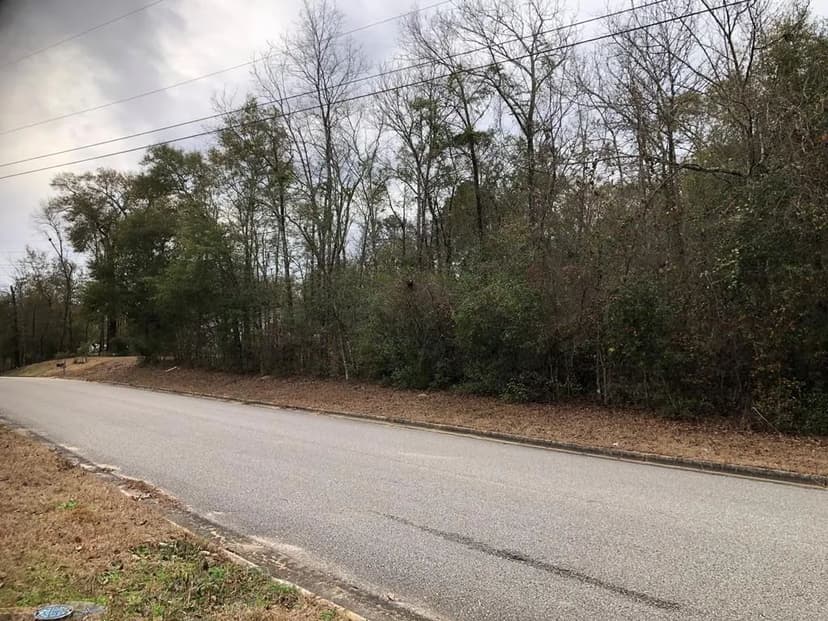 Lots & Land-Other in Dothan