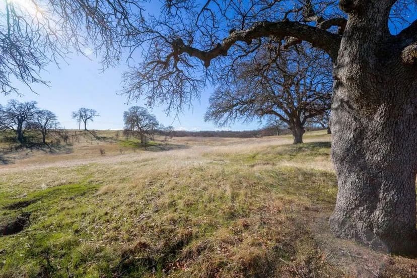 Lots & Land-Other in Red Bluff