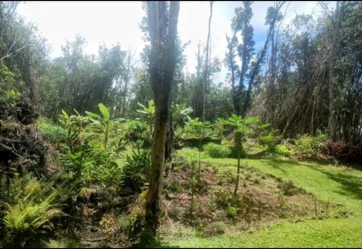 Vacant Land in Pahoa - Pahoa, Hawaii, 96778