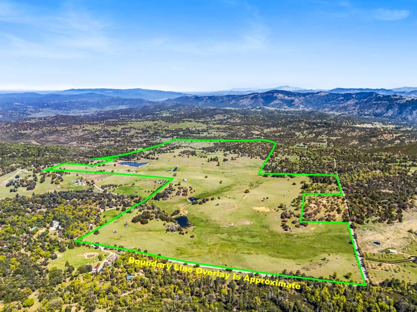 Oak Ridge Stock Farm