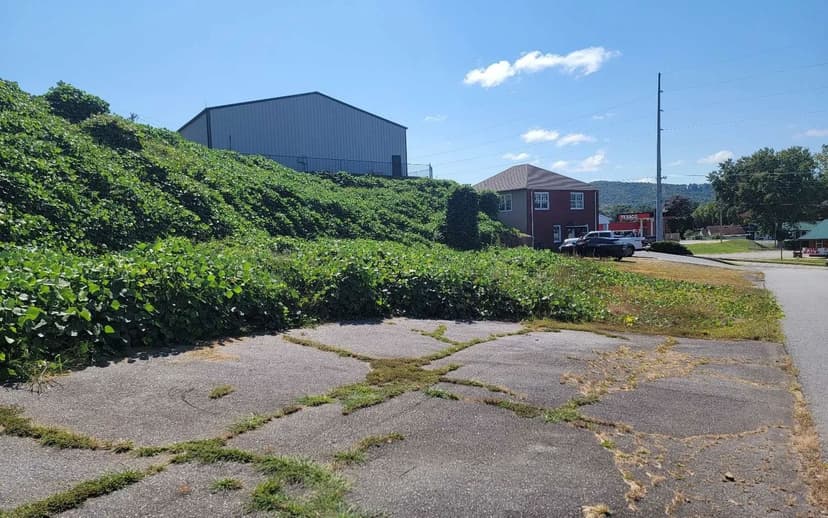 Lots & Land-Other in Hiawassee