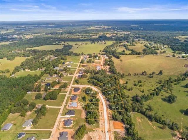 Vacant Land in Tyler - Tyler, Texas, 75704