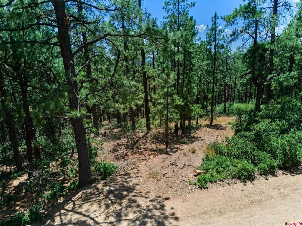 1.05 Acres of Land for Sale in Bayfield, CO - Bayfield, Colorado, 81122