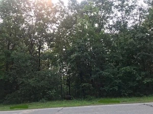 Vacant Land in Hardwick