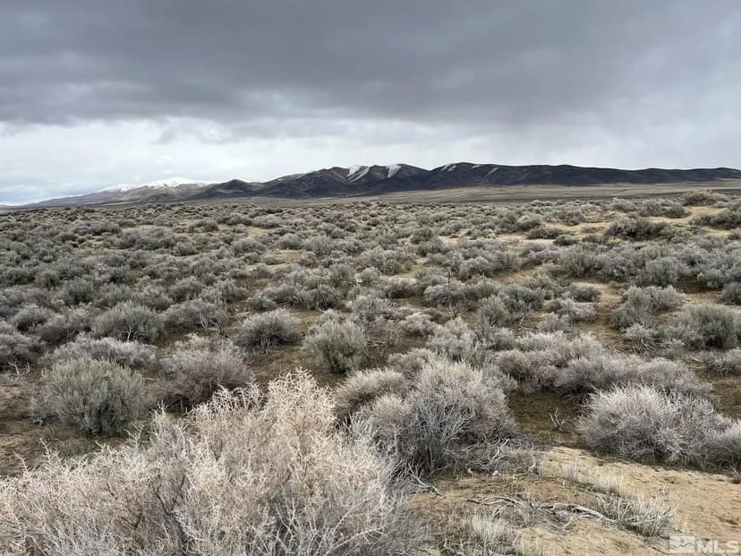 Lots & Land-Other in Golconda