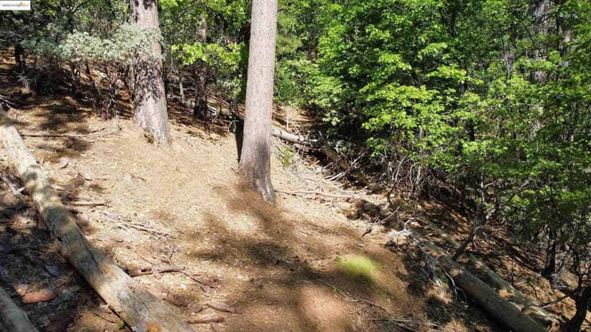 Lots & Land-Other in Sonora