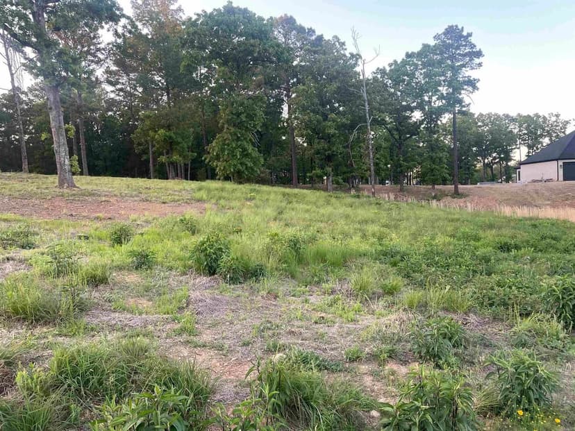 Lots & Land-Other in Conway