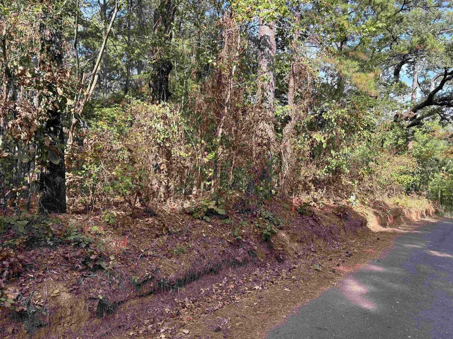 Lots & Land-Other in Avinger - Avinger, Texas, 75630