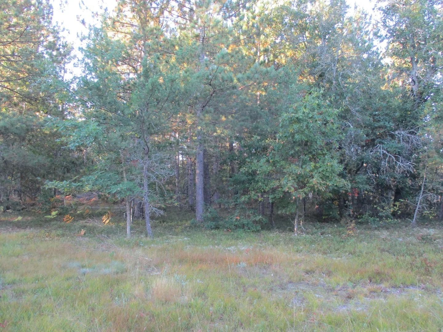 Lots & Land-Other in Grayling - Grayling, Michigan, 49738
