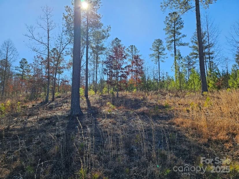 Lots & Land-Other in Connelly Springs
