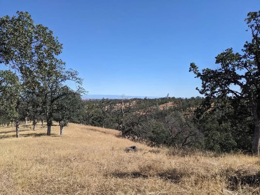 Lots & Land-Other in Red Bluff