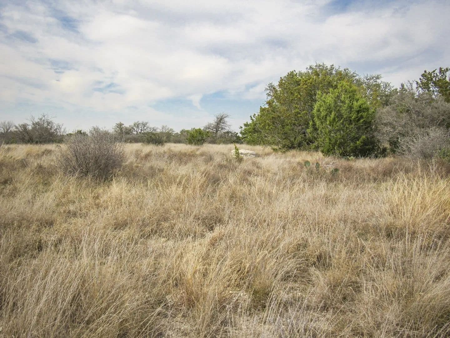 Lots & Land-Other in Kempner - Kempner, Texas, 76539
