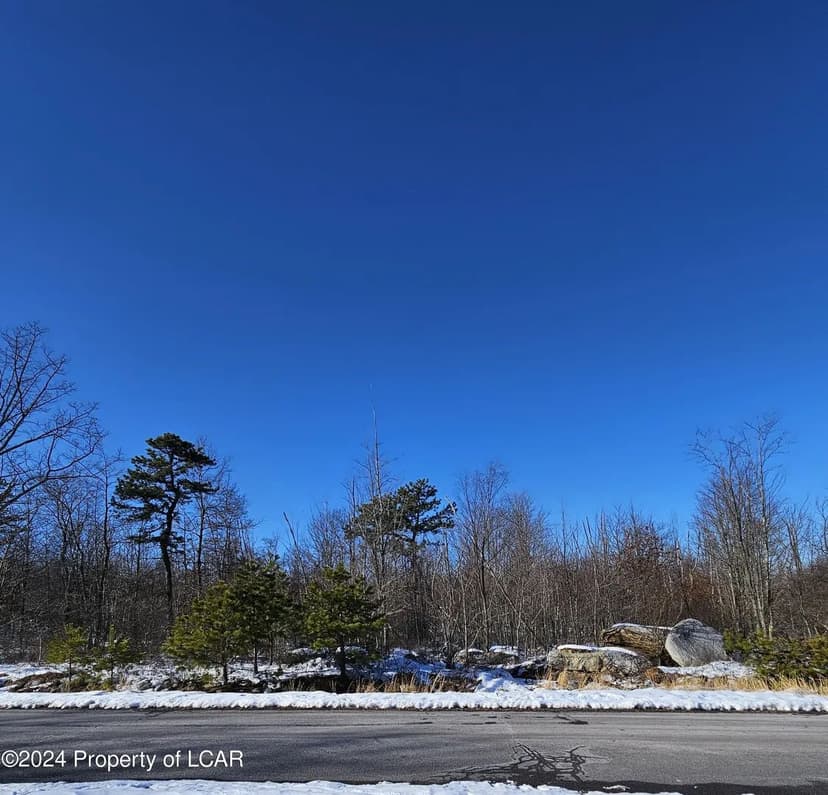 Lots & Land-Other in Hazle Twp