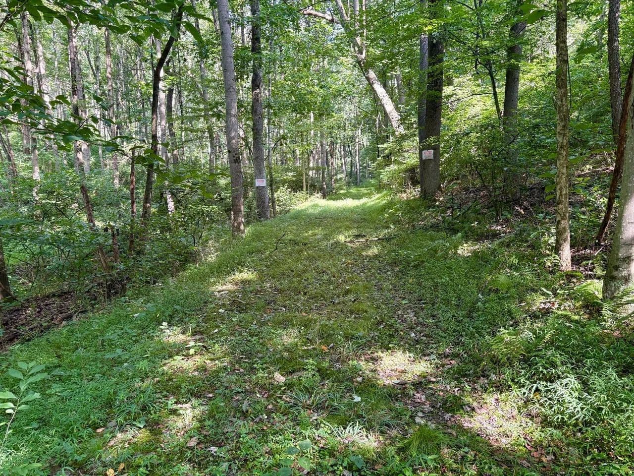 Foxtail Ln., Westmoreland County - 12 ± Acres - Greensburg, Pennsylvania, 15601
