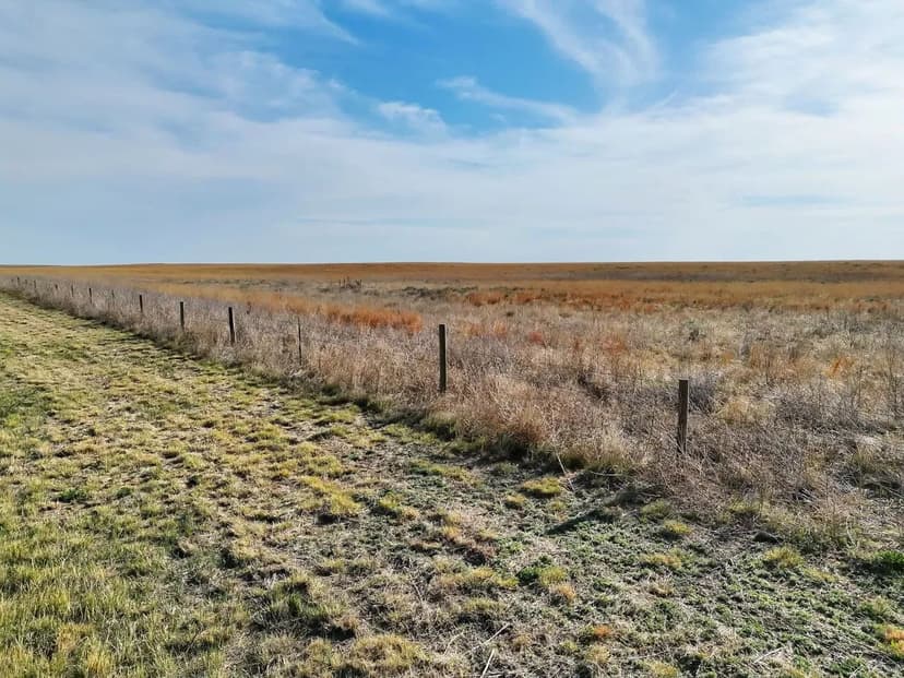 Half Section of CRP located near the Sand Creek National Historic Site