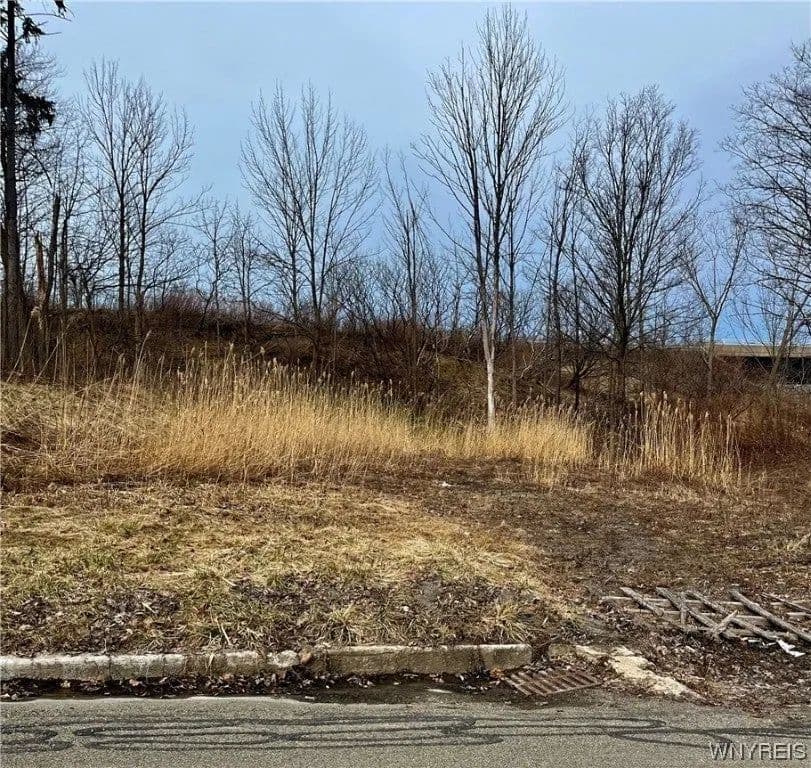 Lots & Land-Other in Eden