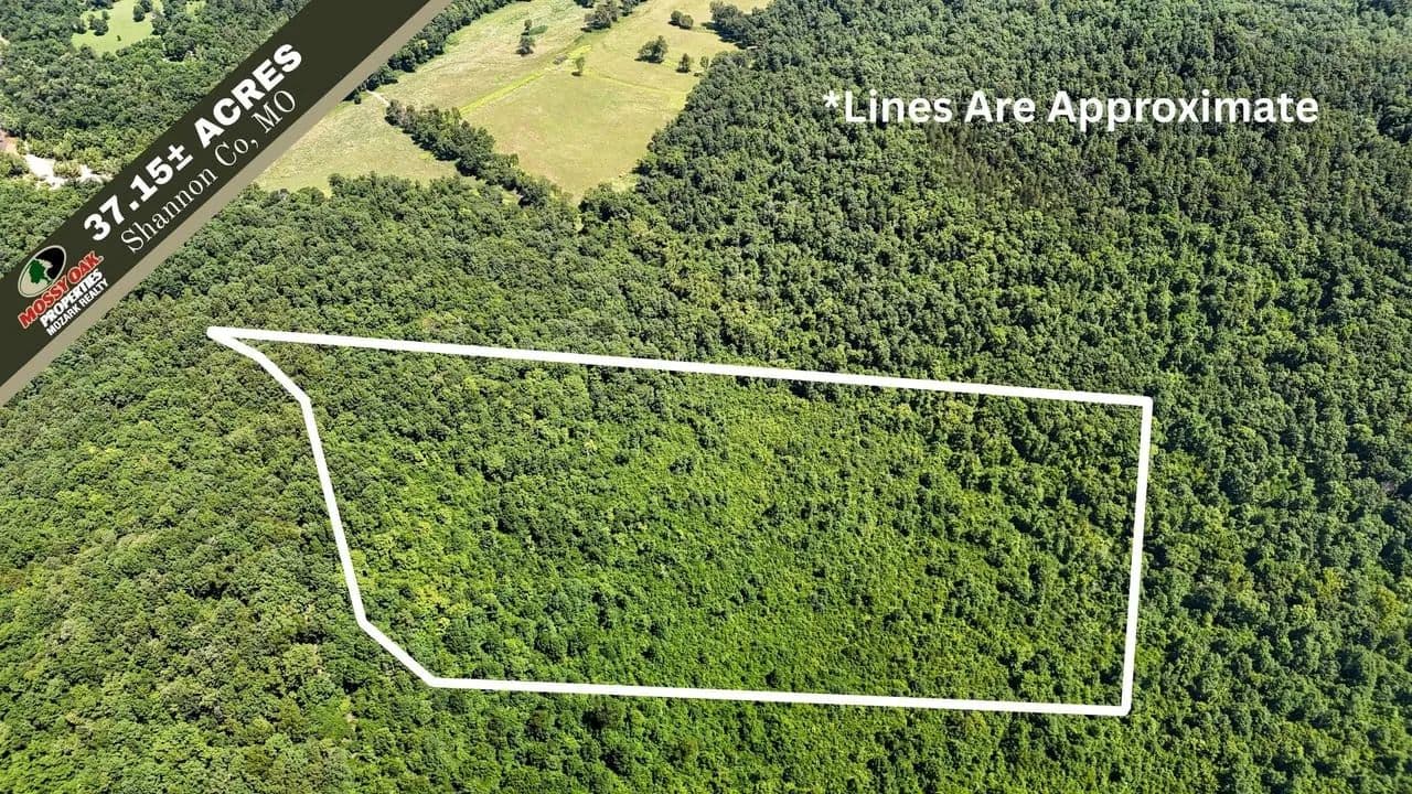 40± AC of Private Rcreational Land in Shannon Co. - Bunker, Missouri, 63629