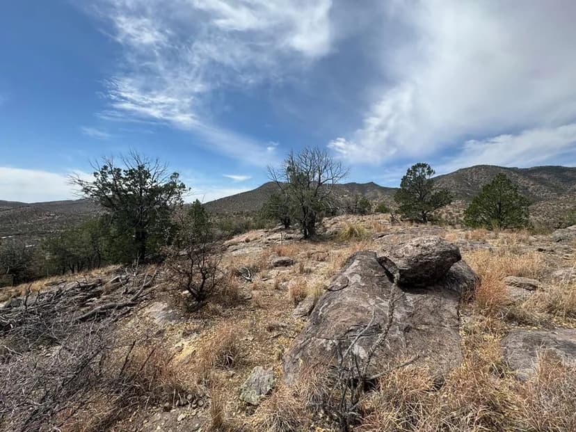 Property from 103 Ponderosa Crest Trail - KW