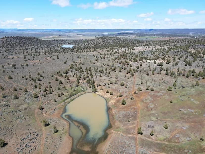 Bidwell Homestead Ranch