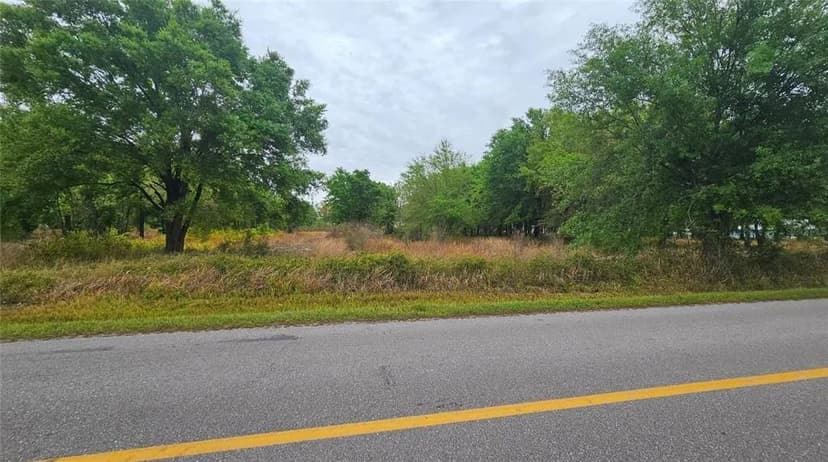 Vacant Land in Wauchula