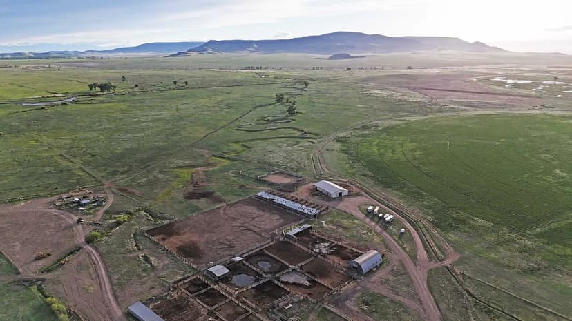 Flying N Ranch