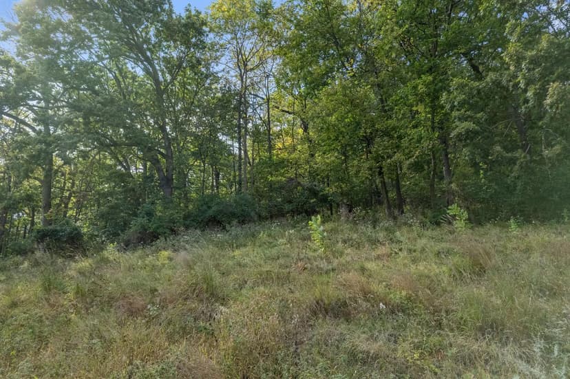 Vacant Land in Winona
