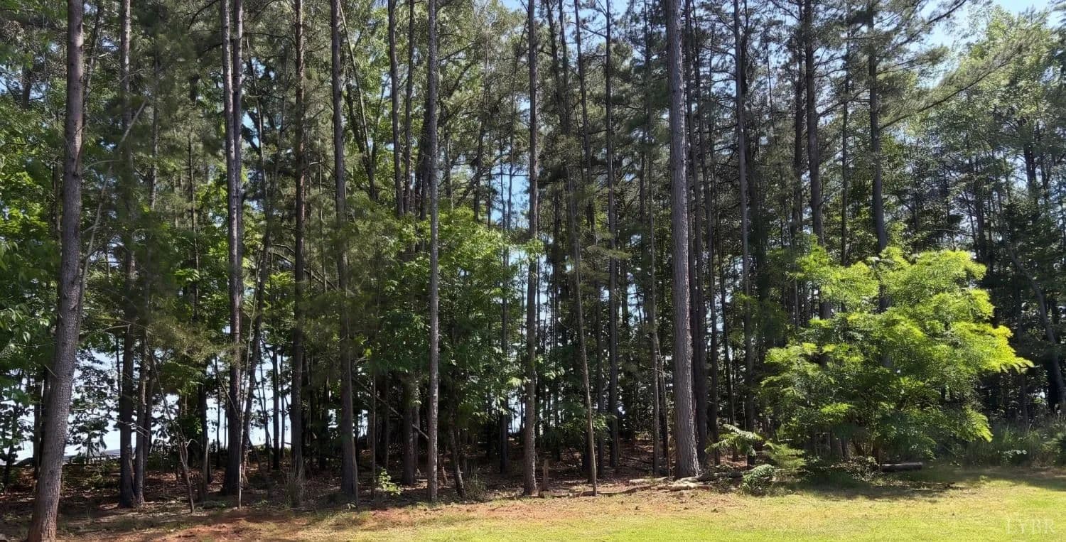 Property from 0 Wyatts Way - KW - Evington, Virginia, 24550