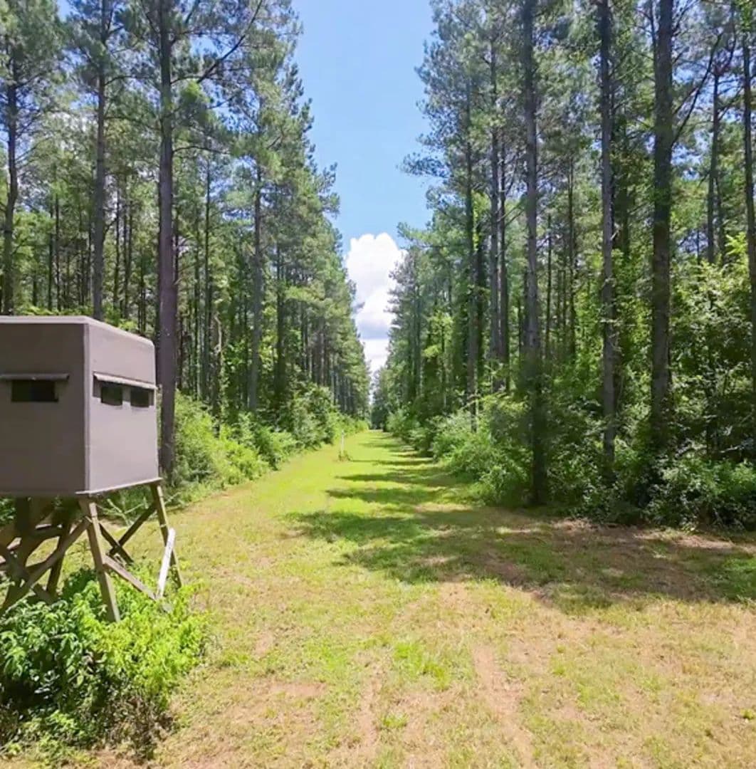 397 Acres with a Home in Jefferson Davis County at 1026 Mount Olive Road in Mount Olive, MS - land for sale