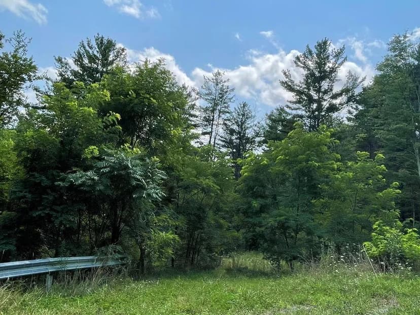 Lots & Land-Other in Towanda