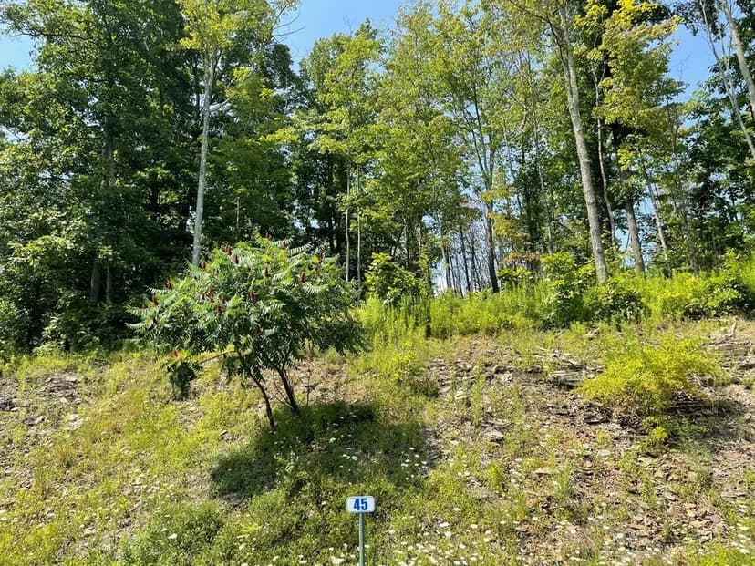 Lots & Land-Other in Towanda