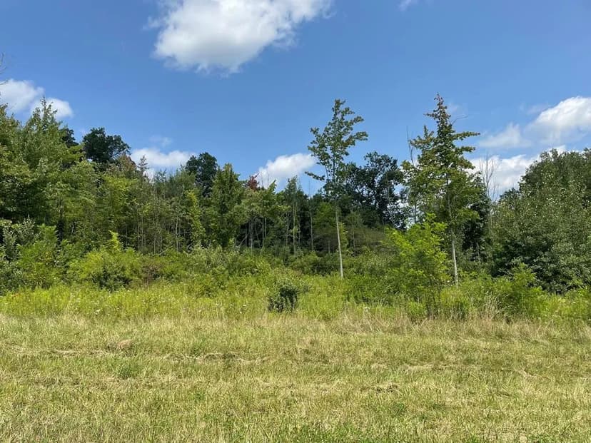 Lots & Land-Other in Towanda