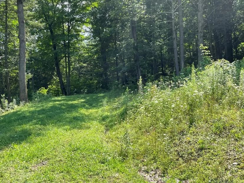 Lots & Land-Other in Towanda