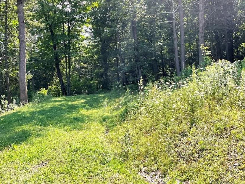 Lots & Land-Other in Towanda
