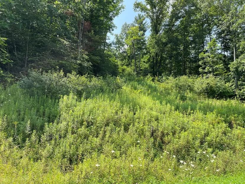 Lots & Land-Other in Towanda