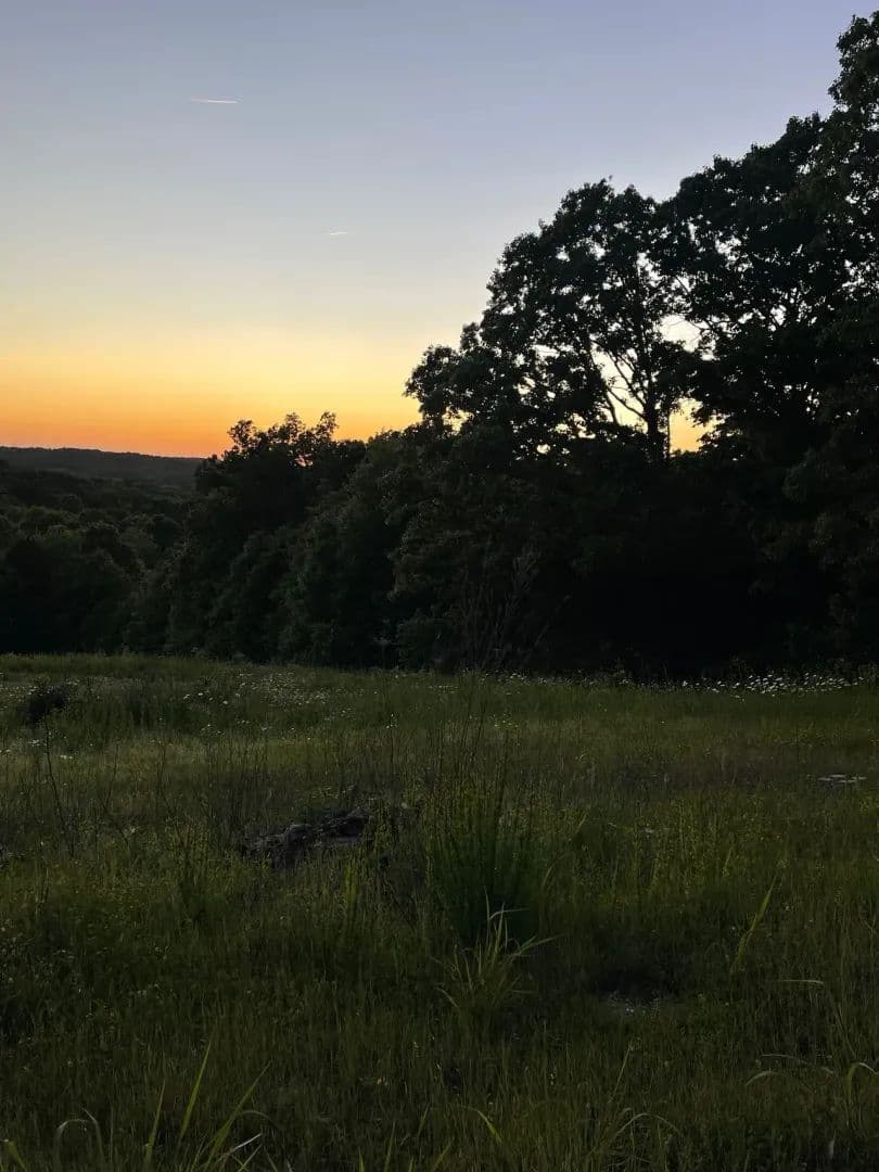 11.85+/- Acres of Country Space-Build or Play