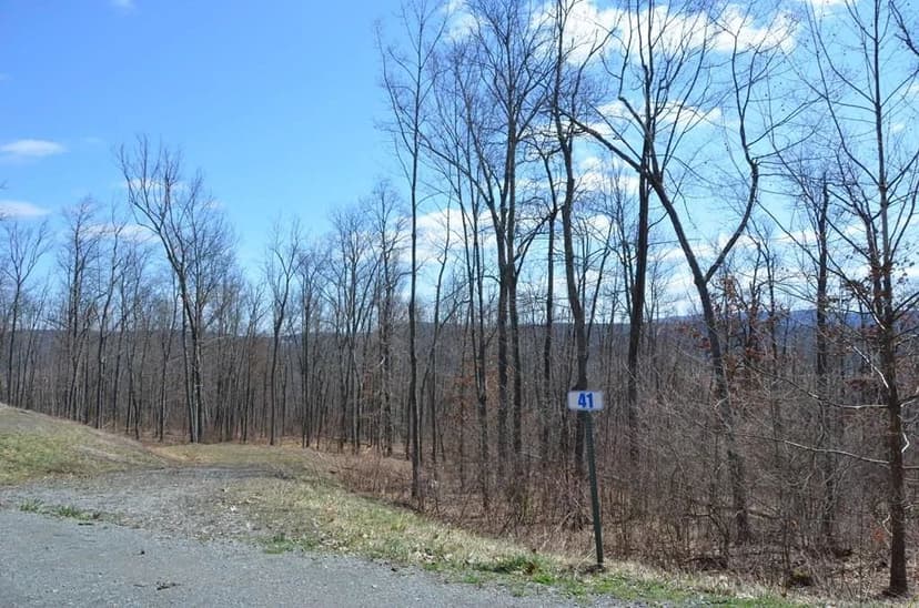 Lots & Land-Other in Towanda