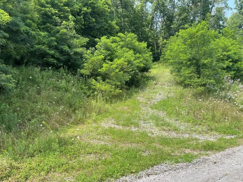 Lots & Land-Other in Towanda