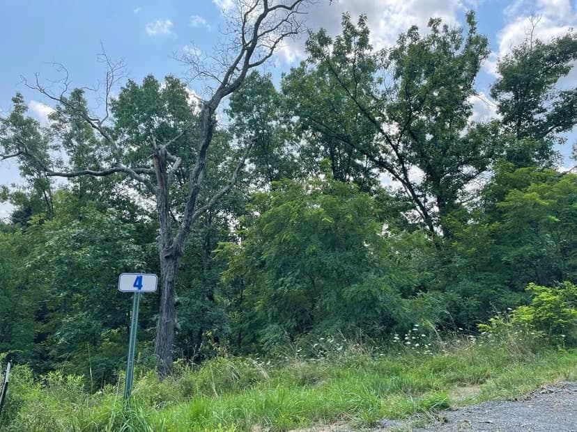 Lots & Land-Other in Towanda
