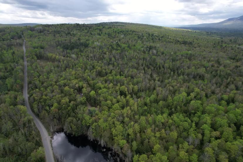 Property from Lot 2 Freeman Ridge Road - KW