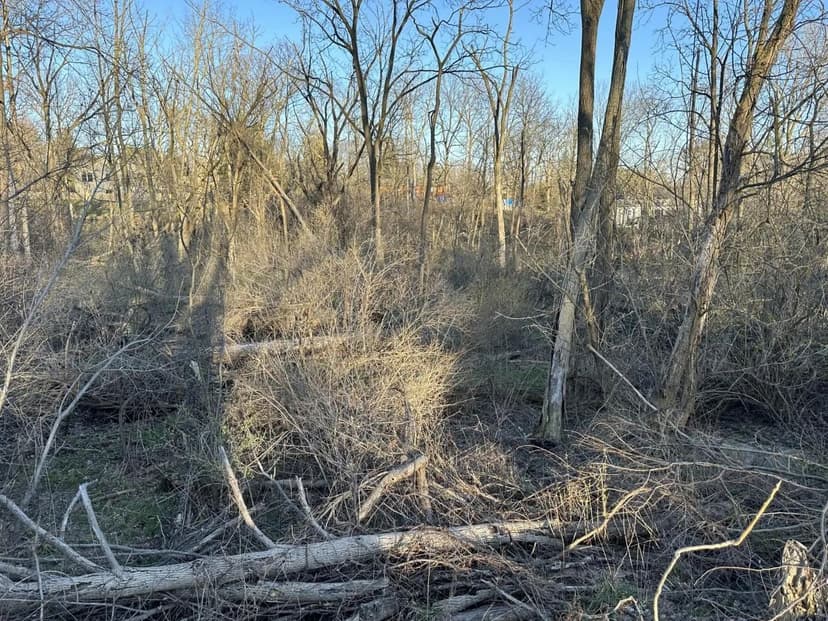 Land -Single Family Acreage in Geneva