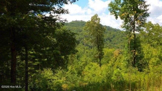 Lots & Land-Other in Murphy - Murphy, North Carolina, 28906